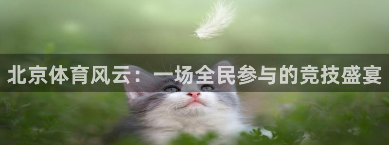 咪咕视频体育直播全网发布.最好网.org：北京体育风云：一场全民参与的竞技盛宴