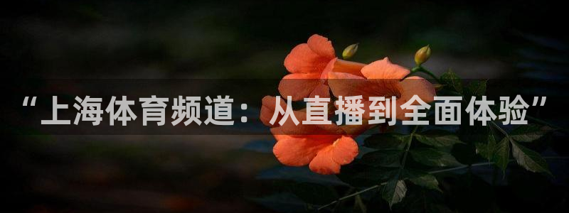 咪咕现场直播今天：“上海体育频道：从直播到全面体验”